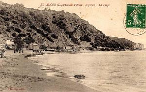 El ancor 31
